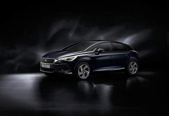 DS 5-articulo 01