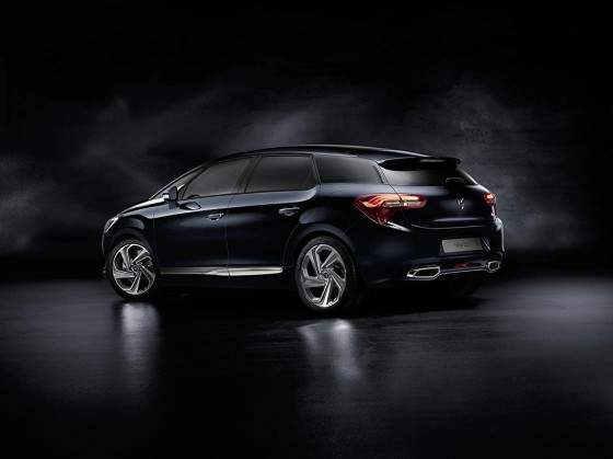 DS 5-articulo 05