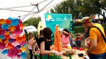 FurgoVolkswagen 2016 talleres infantiles