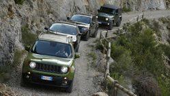 Gama Jeep 75 Aniversario
