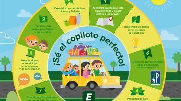 Decálogo buen copiloto