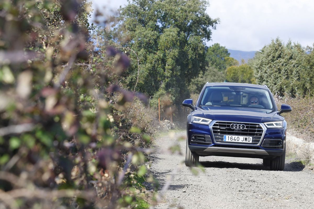 Audi Q5 2.0 TDI 190 CV frontal campo