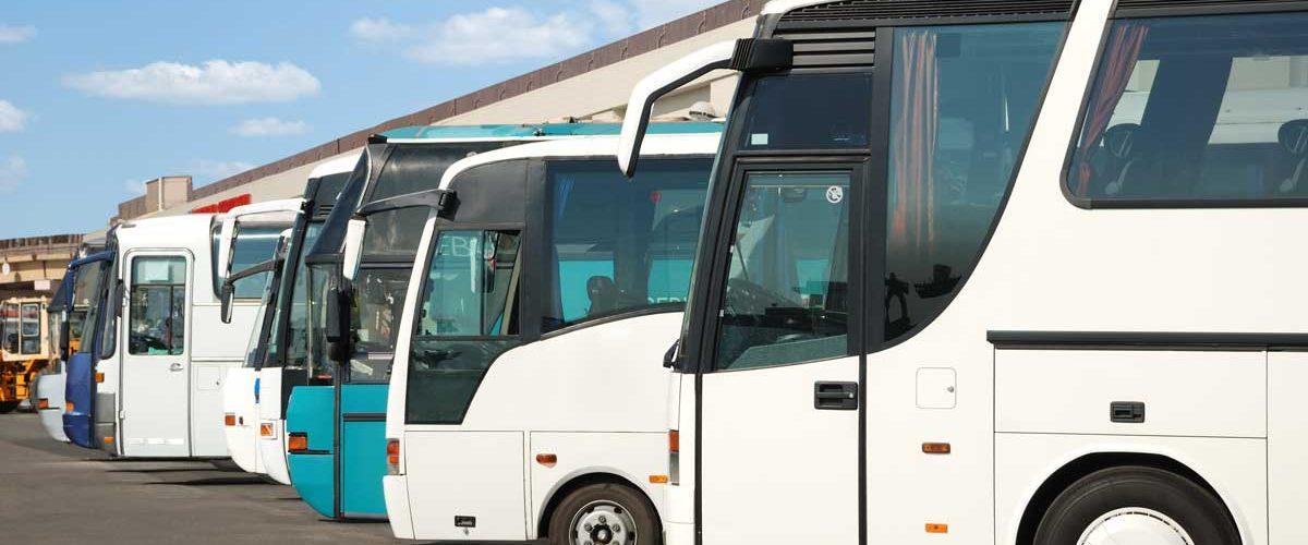 liberalización del sector del autobús