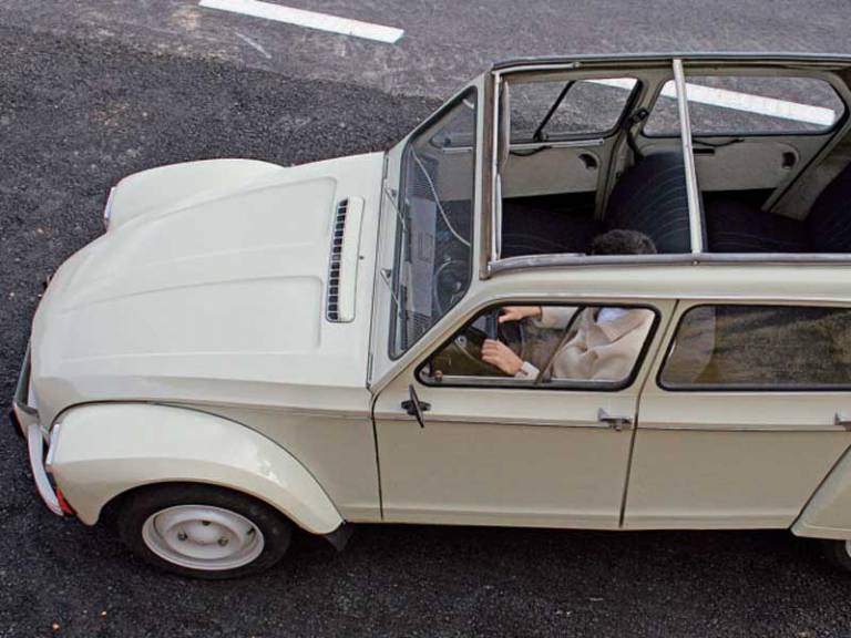 Citroën Dyane 6