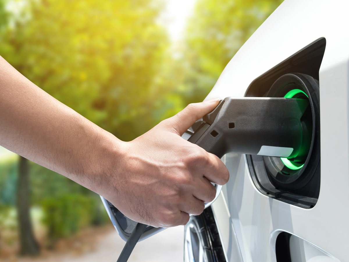 Prohibición gasolina diesel