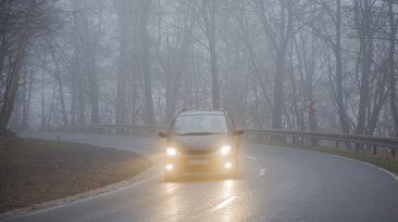 2. Primordial ver bien