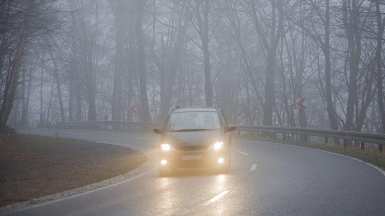 2. Primordial ver bien