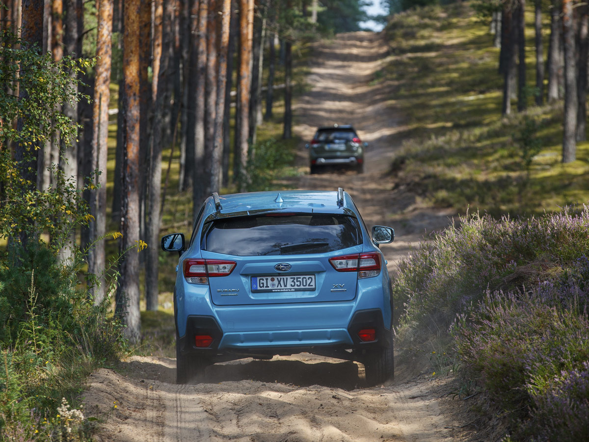 Subaru Forester y Subaru XV ECO 2019