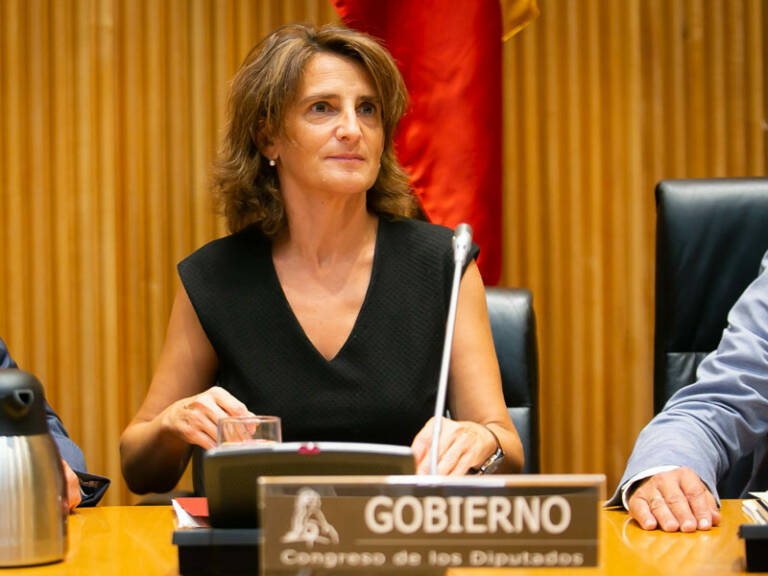 Teresa Ribera (Ministra de Transición Ecológica en funciones)