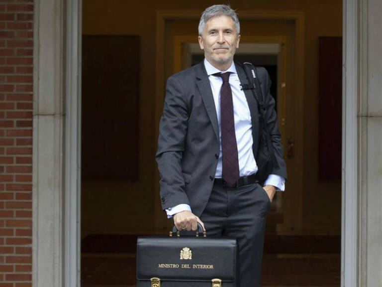 Fernando Grande-Marlaska (Ministro del Interior en funciones)