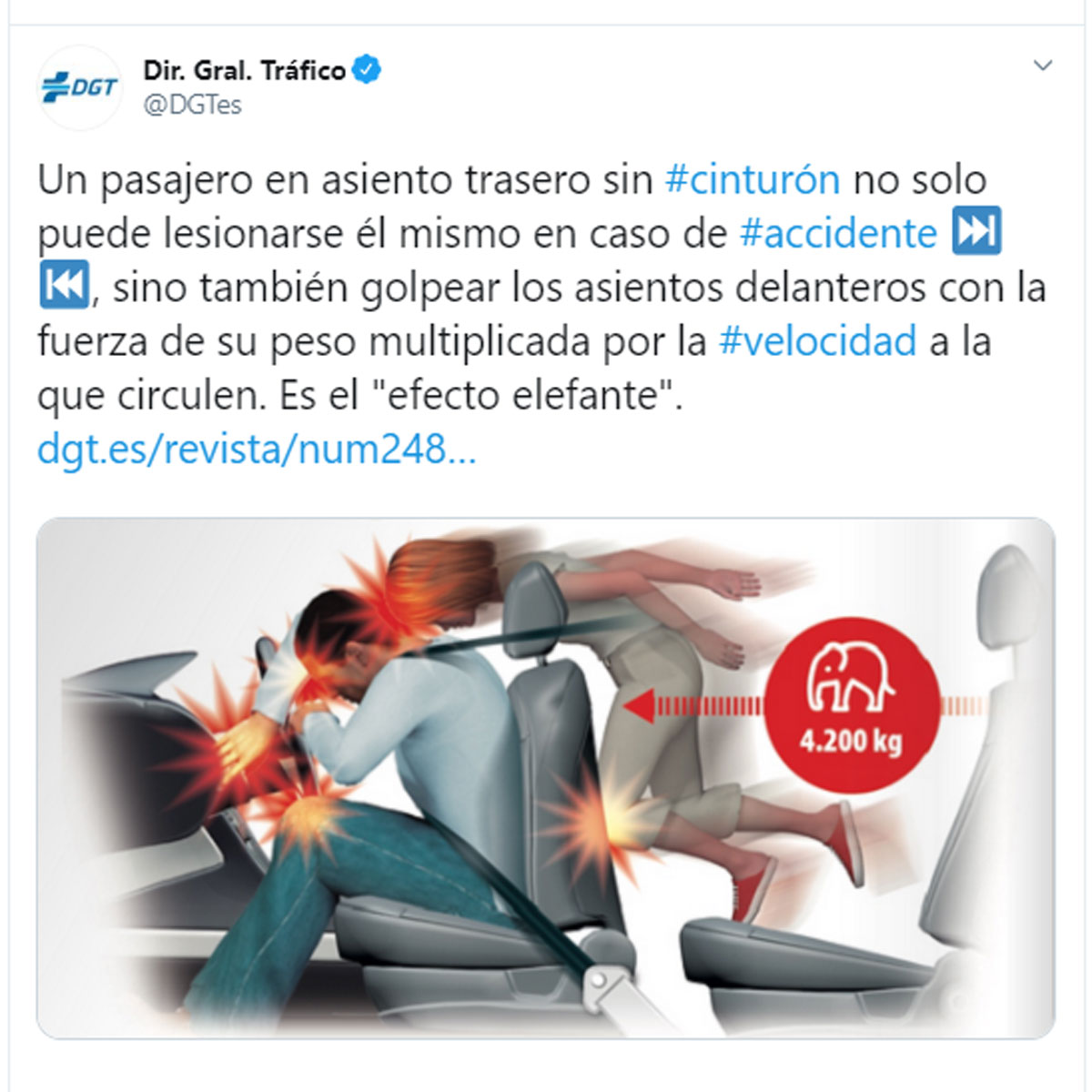 Alerta efecto elefante DGT