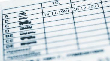 nuevo carné de conducir