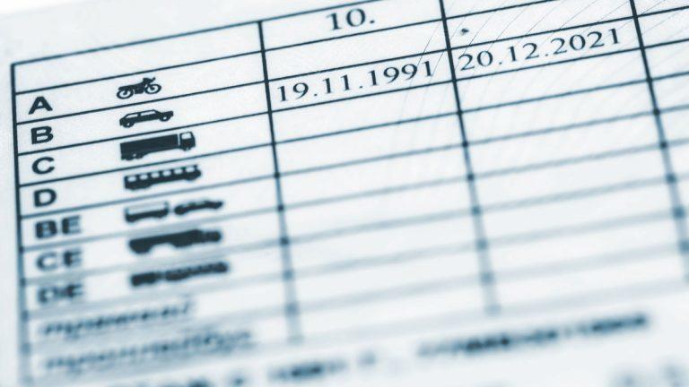 nuevo carné de conducir