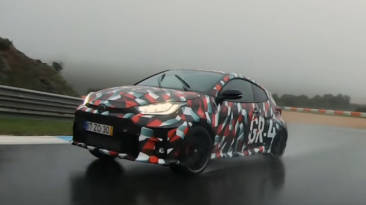 fernando alonso yaris