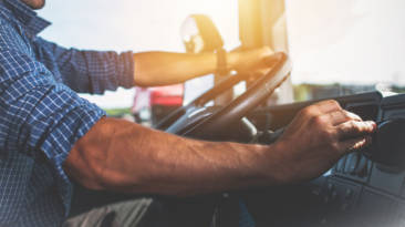 Cinturón de seguridad