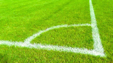 cesped reciclaje neumatico